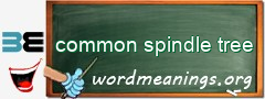 WordMeaning blackboard for common spindle tree